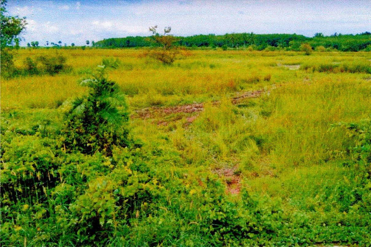 Residential land/lot Pattani Nong Chik Pulo Puyo 184180