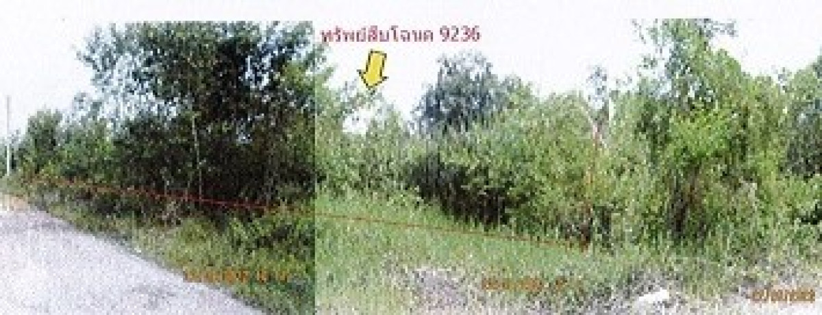 Residential land/lot Bangkok Nong Chok Khlong Sip Song 280800