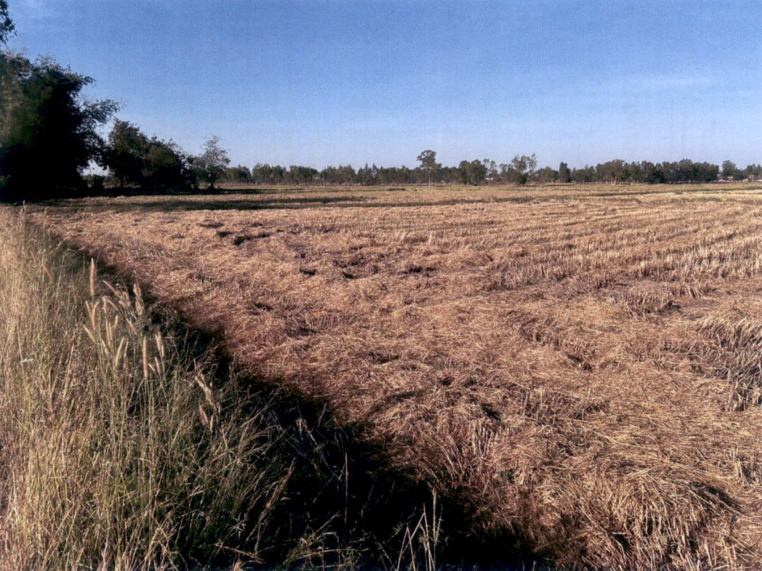 Residential land/lot Kalasin Kamalasai Dong Ling 110000