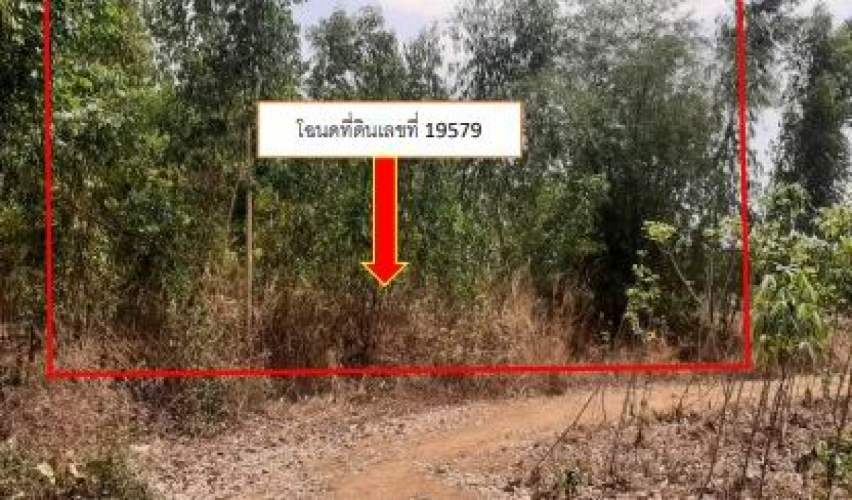 Residential land/lot Kalasin Sahatsakhan Non Laem Thong 200000