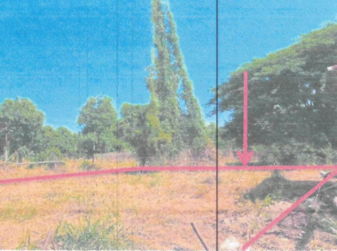 Residential land/lot Chai Nat Sapphaya Pho Nang Dam Ok 165360