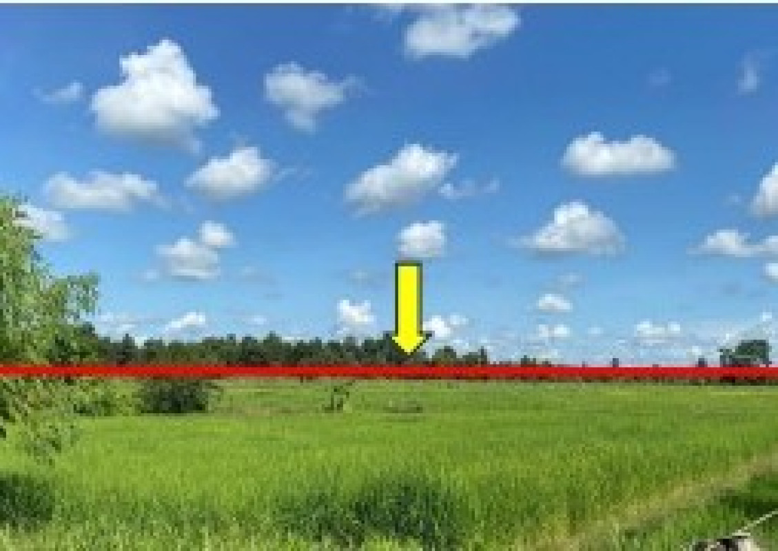 Residential land/lot Maha Sarakham Mueang Maha Sarakham Nong No 240000