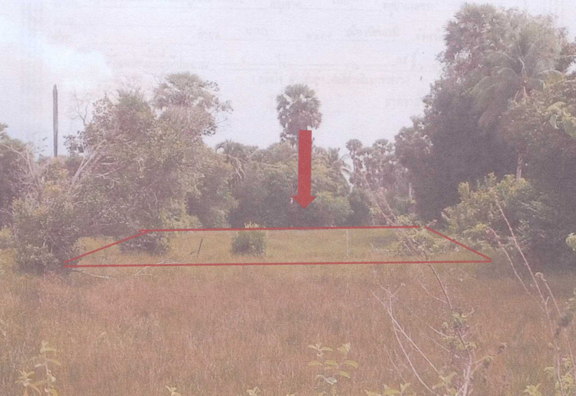 Residential land/lot Pattani Mueang Pattani Bana 431850