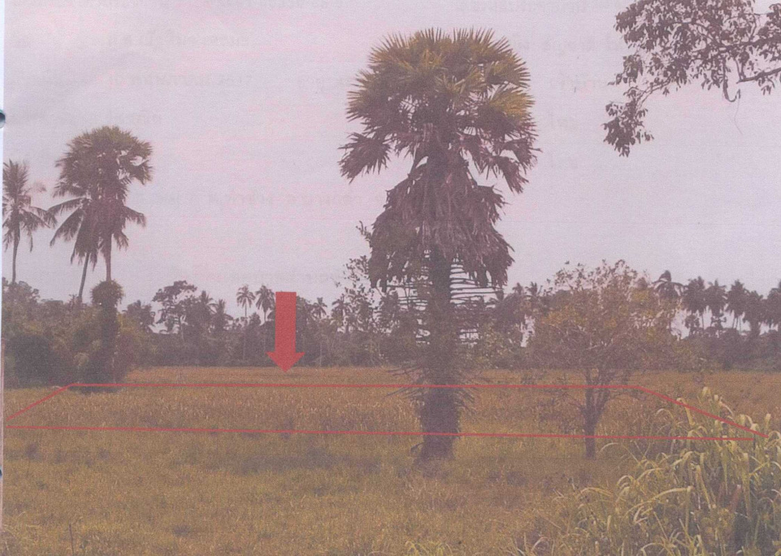 Residential land/lot Pattani Mueang Pattani Bana 174160