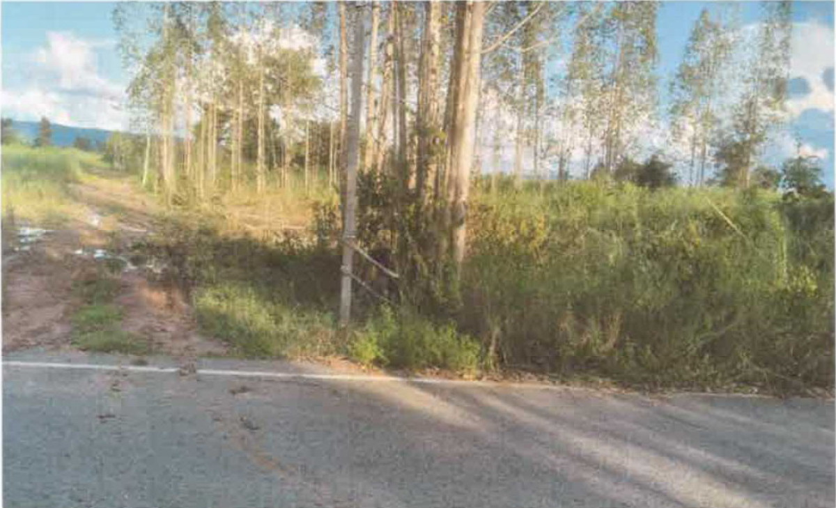 Residential land/lot Nong Bua Lam Phu Mueang Nong Bua Lam Phu Nong Phai Sun 116400