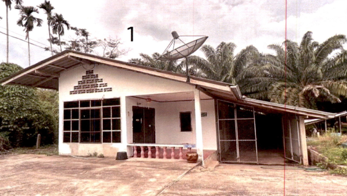 บ้านเดี่ยว สุราษฎร์ธานี บ้านนาเดิม บ้านนา 1139640