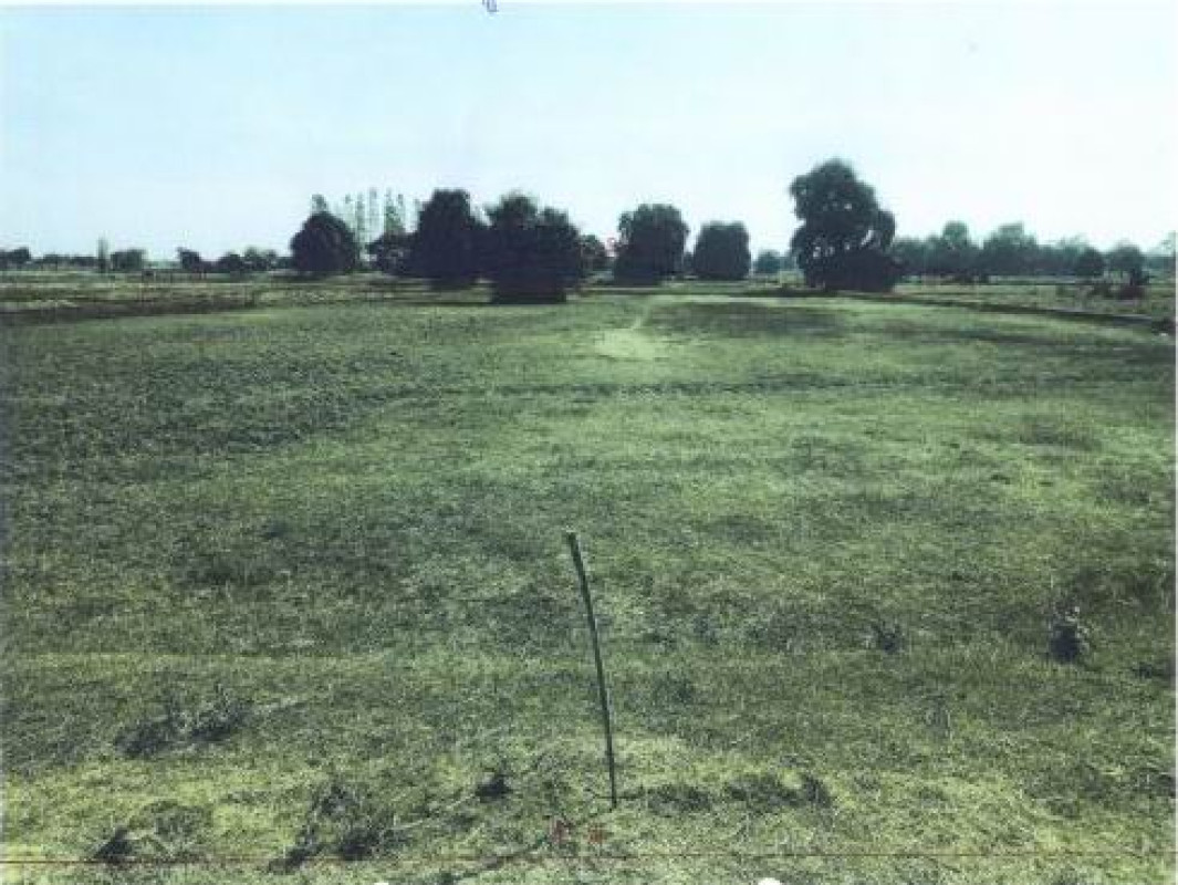 Residential land/lot Khon Kaen Chonnabot Ban Thaen 228100