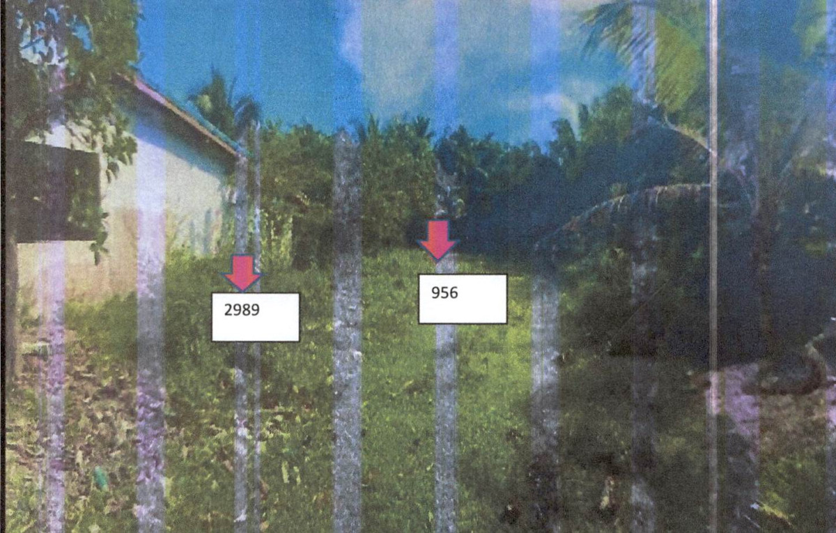 Residential land/lot Krabi Ko Lanta Sala Dan 101760