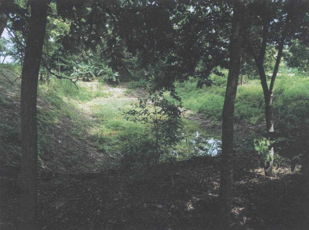Residential land/lot Phayao Dok Khamtai Nong Lom 133250