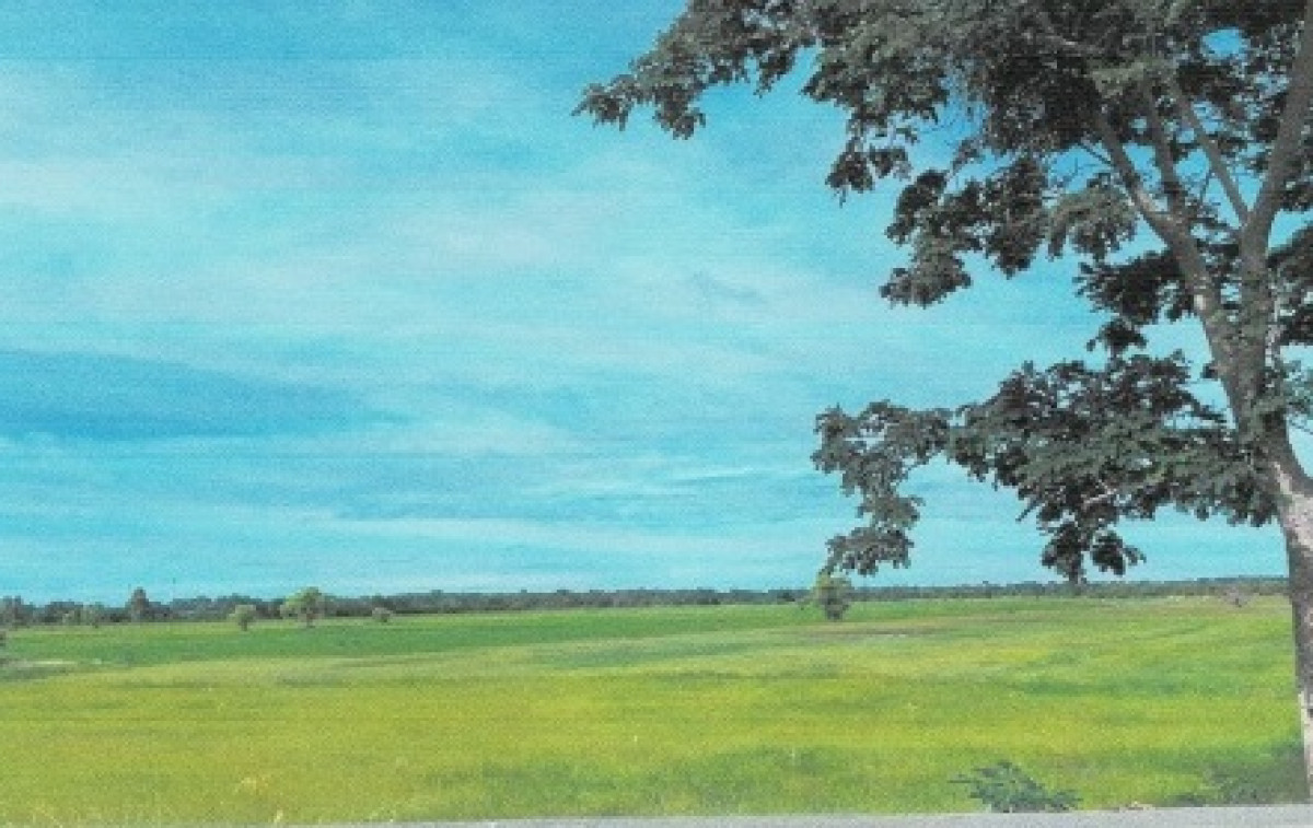 Residential land/lot Nakhon Ratchasima Non Daeng Don Yao Yai 206850