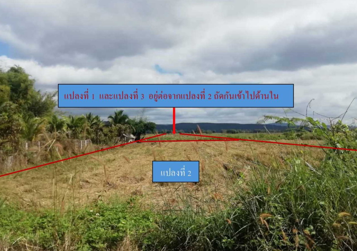 Residential land/lot Phayao Mueang Phayao Mae Puem 391750