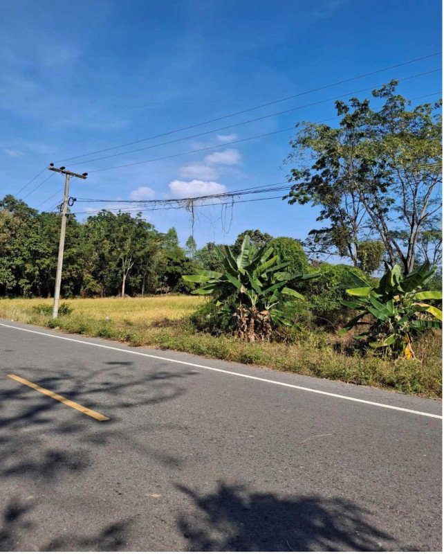 Residential land/lot Nong Bua Lam Phu Non Sang Khok Yai 309050