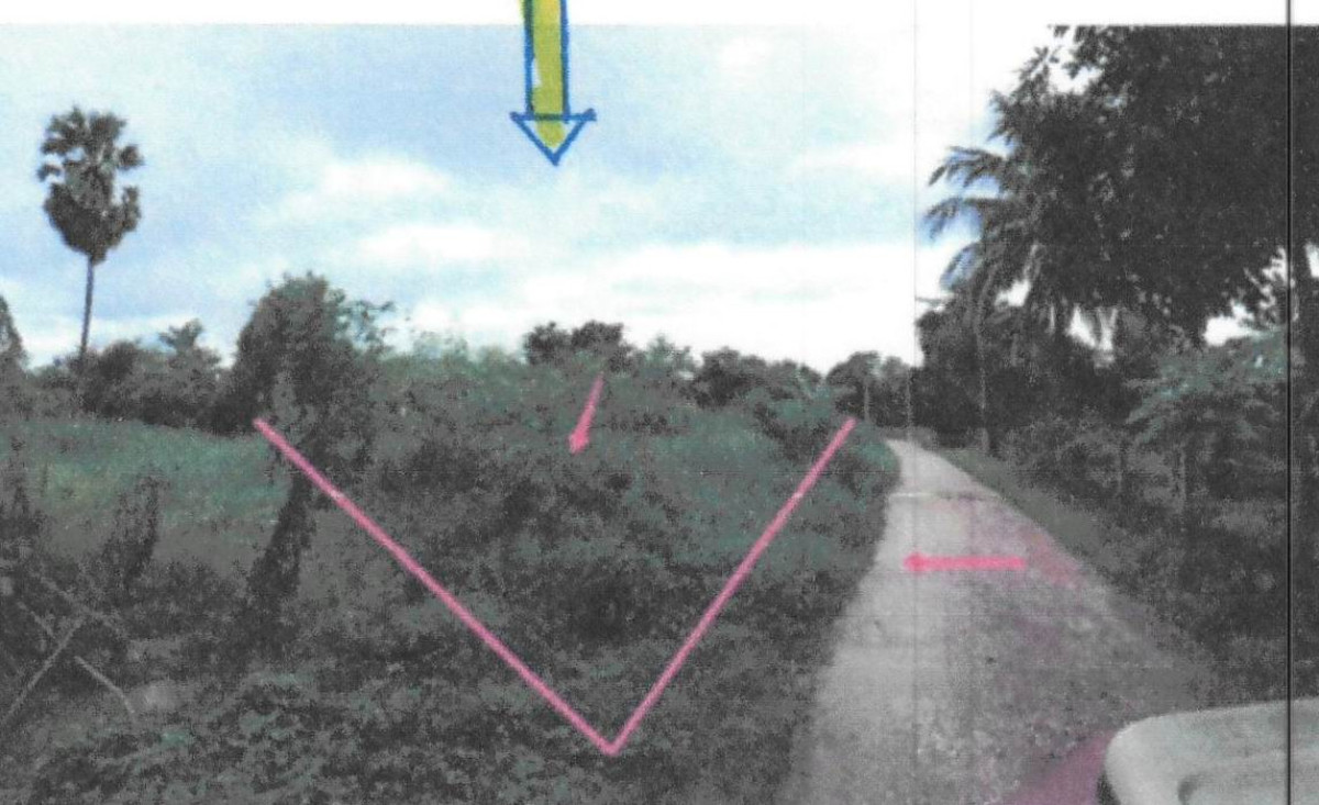 Residential land/lot Chai Nat Wat Sing Makham Thao 161250