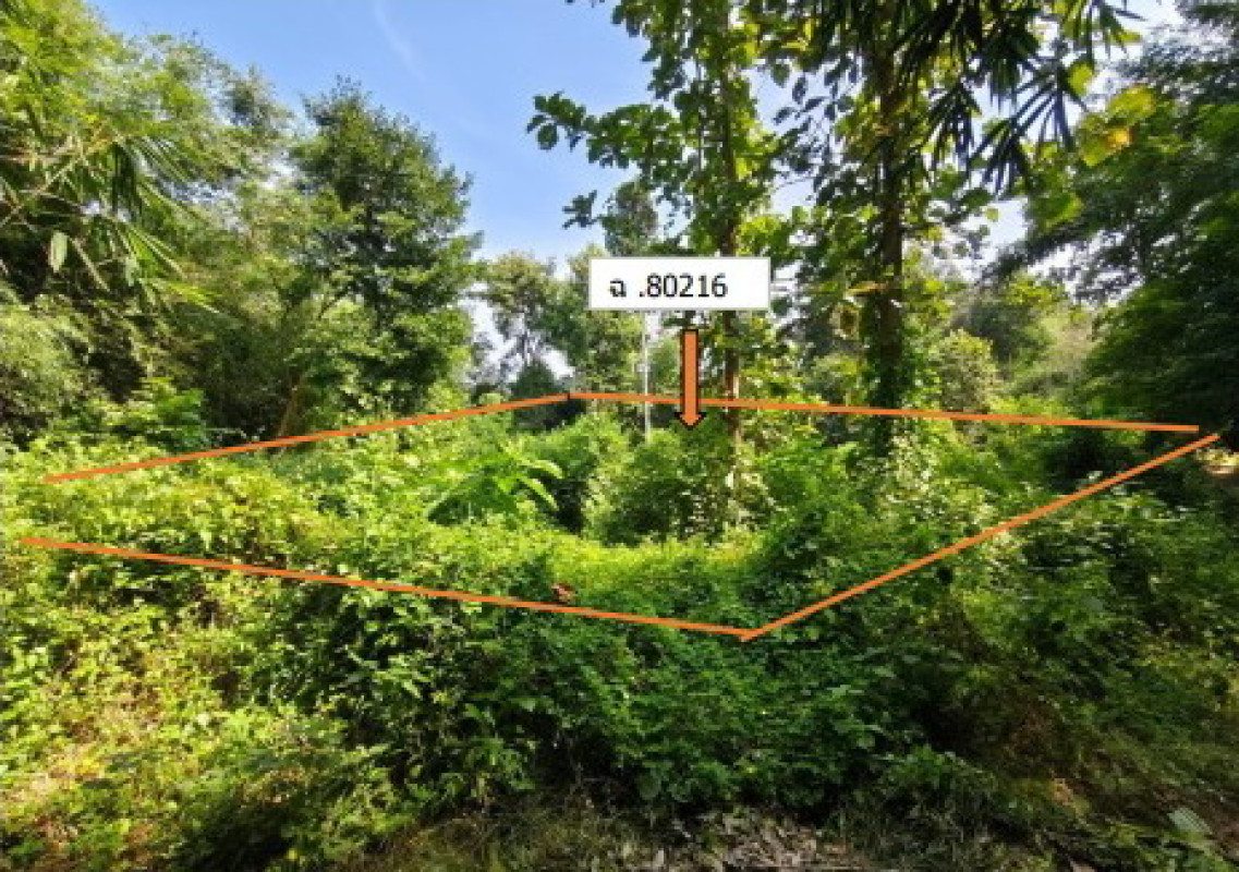 Residential land/lot Kalasin Yang Talat Khlong Kham 143400