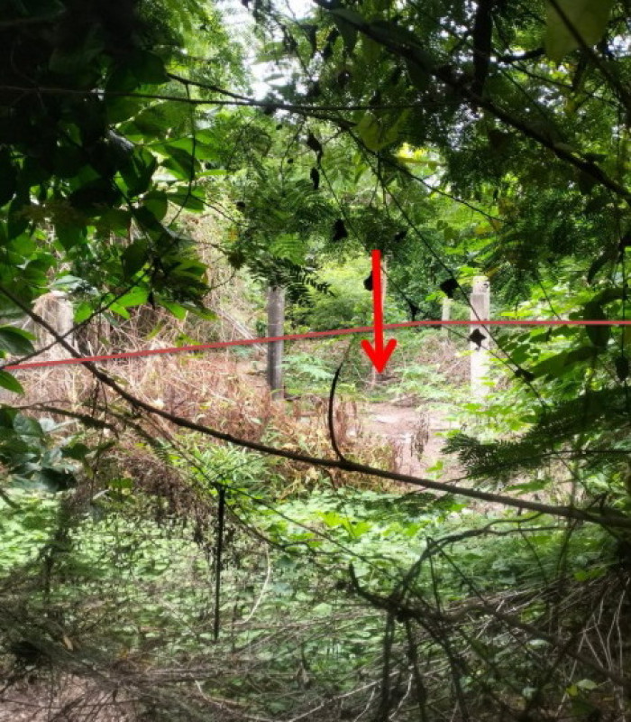 Residential land/lot Kalasin Yang Talat Um Mao 23600