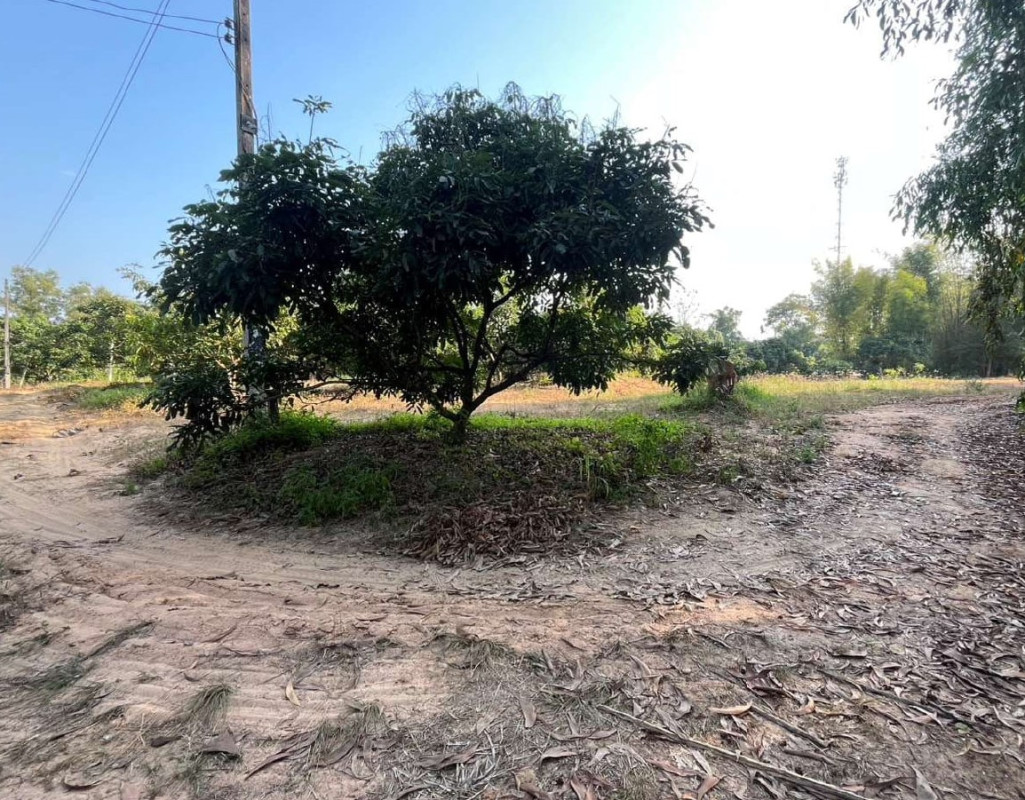 Residential land/lot Chiang Mai Doi Tao Tha Duea 191620