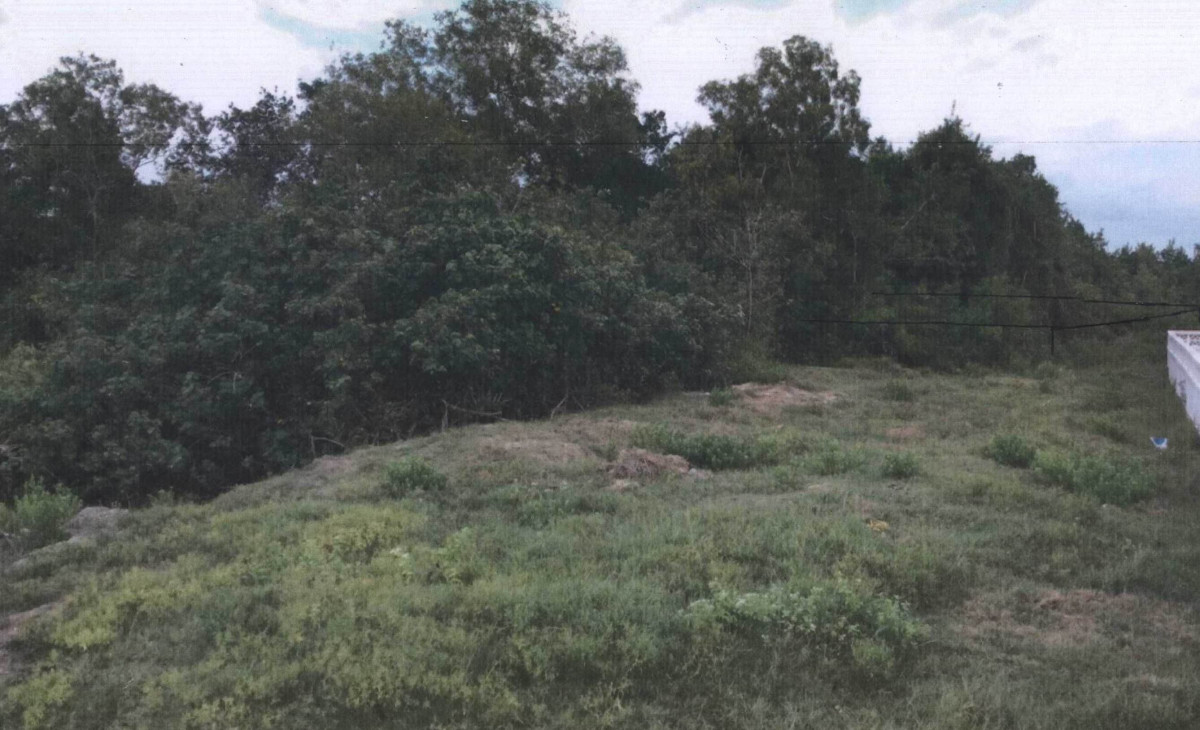 Residential land/lot Pattani Nong Chik Tuyong 1307475