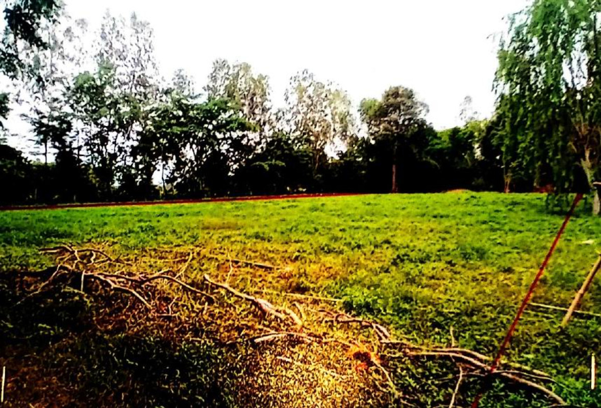 Residential land/lot Sakon Nakhon Mueang Sakon Nakhon Huai Yang 343850