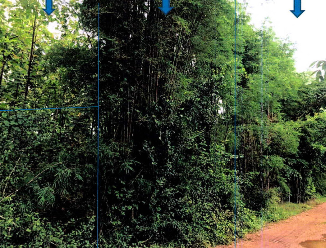 Residential land/lot Lampang Mae Tha Na Khrua 2681220