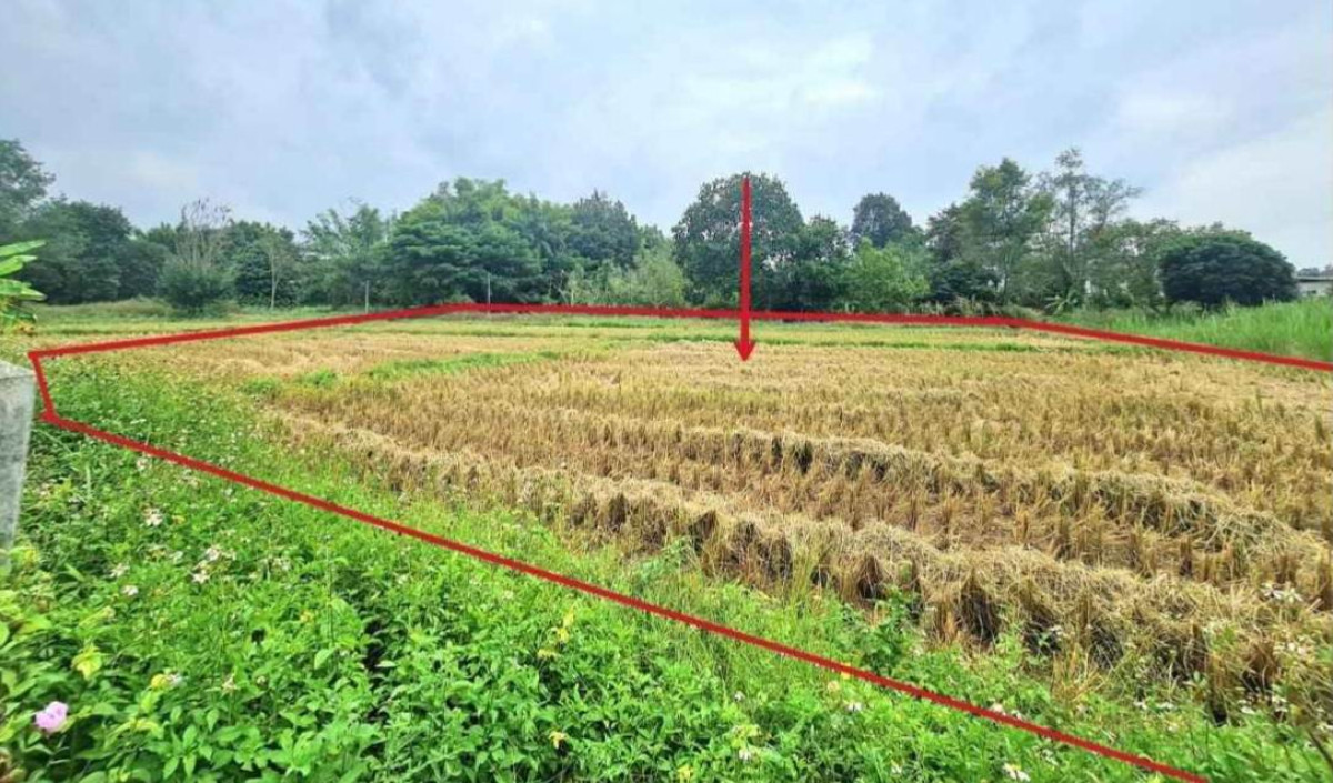 Residential land/lot Phayao Mueang Phayao Mae Ka 1387500