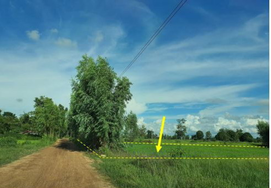 ที่ดินเปล่า อุบลราชธานี นาเยีย นาเรือง 423040