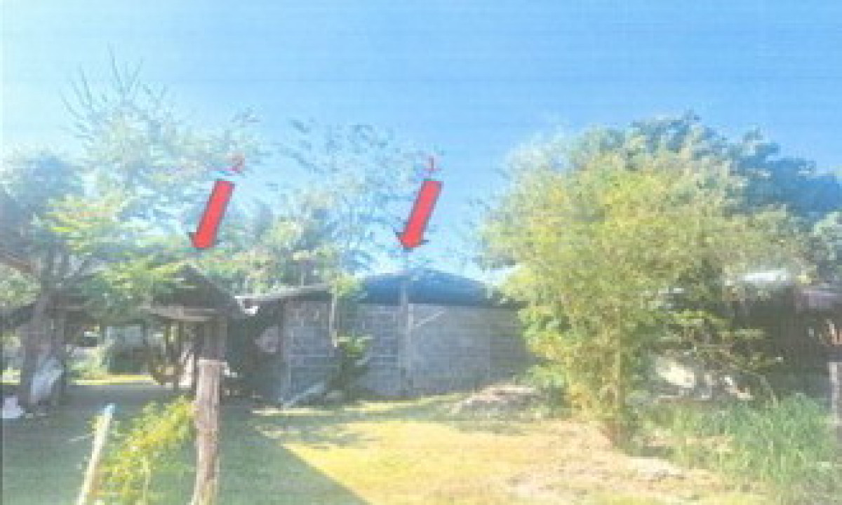 บ้านเดี่ยว นครพนม นาแก สีชมพู 1358620