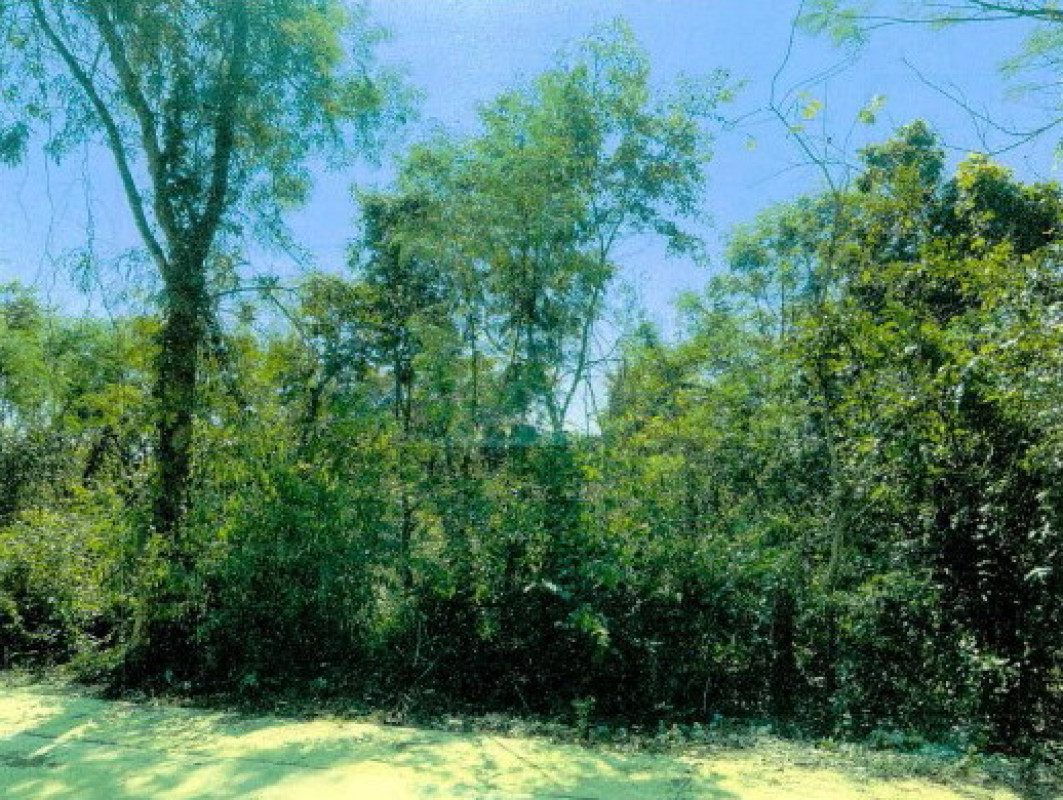 Residential land/lot Nakhon Phanom Mueang Nakhon Phanom Kham Thao 678130