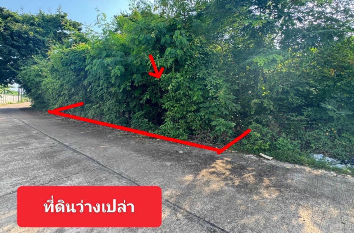 Residential land/lot Nakhon Phanom Mueang Nakhon Phanom At Samat 121050