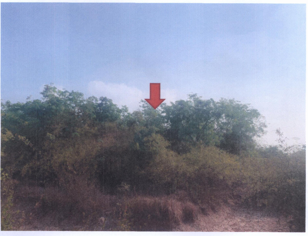 Residential land/lot Sakon Nakhon Akat Amnuai Samakkhi Phatthana 280000