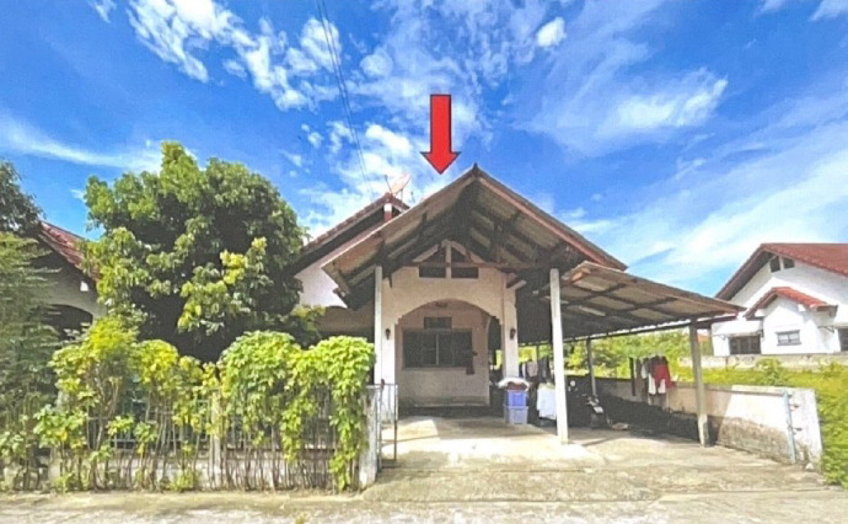บ้านเดี่ยว เชียงใหม่ แม่ริม ริมเหนือ 789245