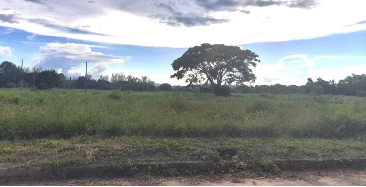Residential land/lot Chiang Mai Mae Taeng Inthakhin 5235044