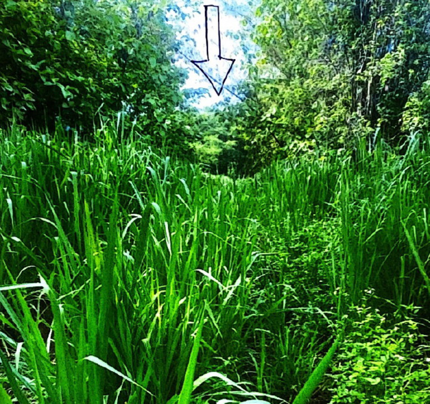 Residential land/lot Chiang Mai Mae Taeng Inthakhin 128000