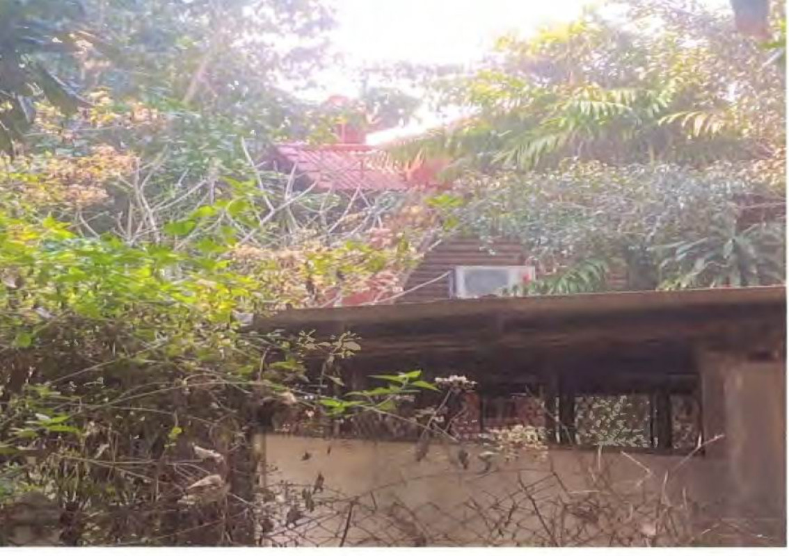 บ้านเดี่ยว เชียงใหม่ พร้าว ป่าไหน่ 1785414