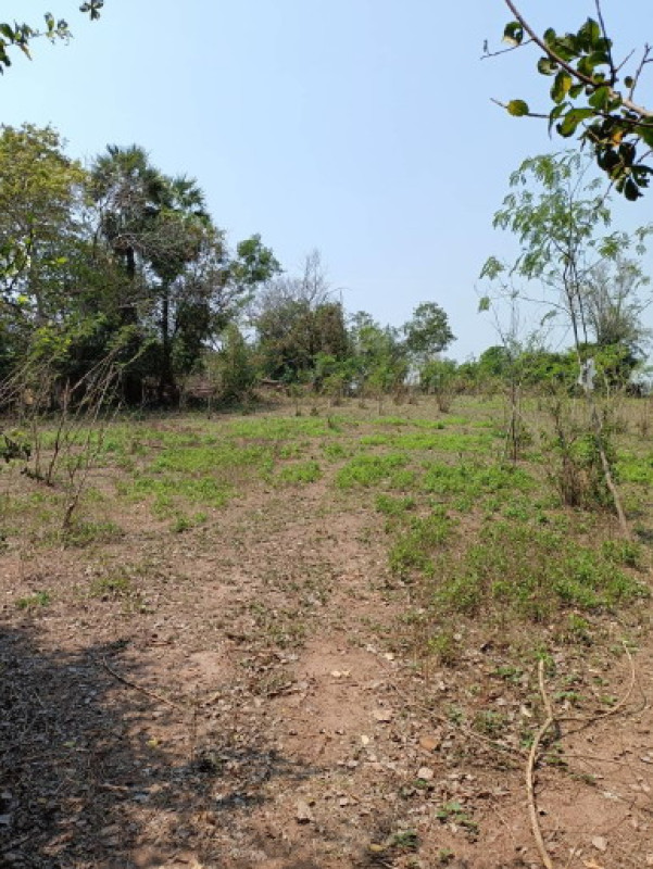 Residential land/lot Khon Kaen Nong Song Hong Han Chot 60000