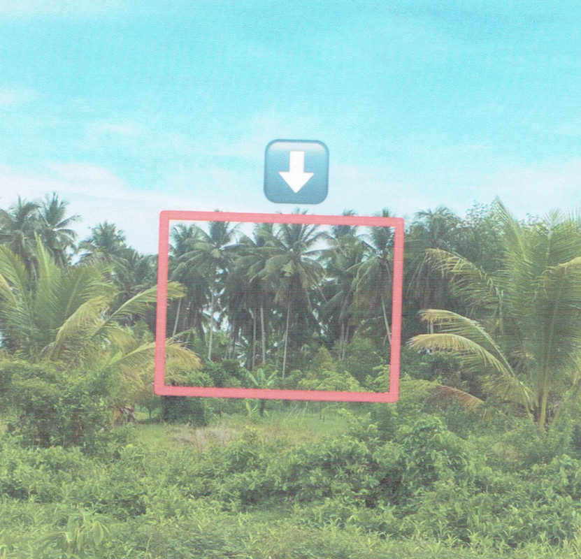 Residential land/lot Pattani Yaring Tanyong Chueng Nga 44600