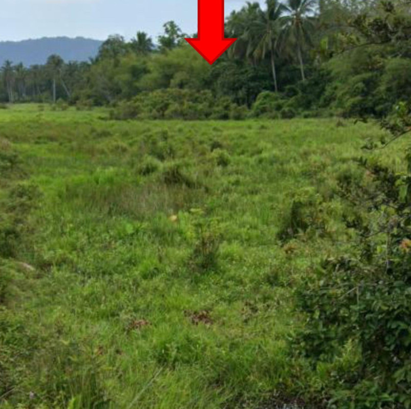 Residential land/lot Pattani Panare Khuan 36504