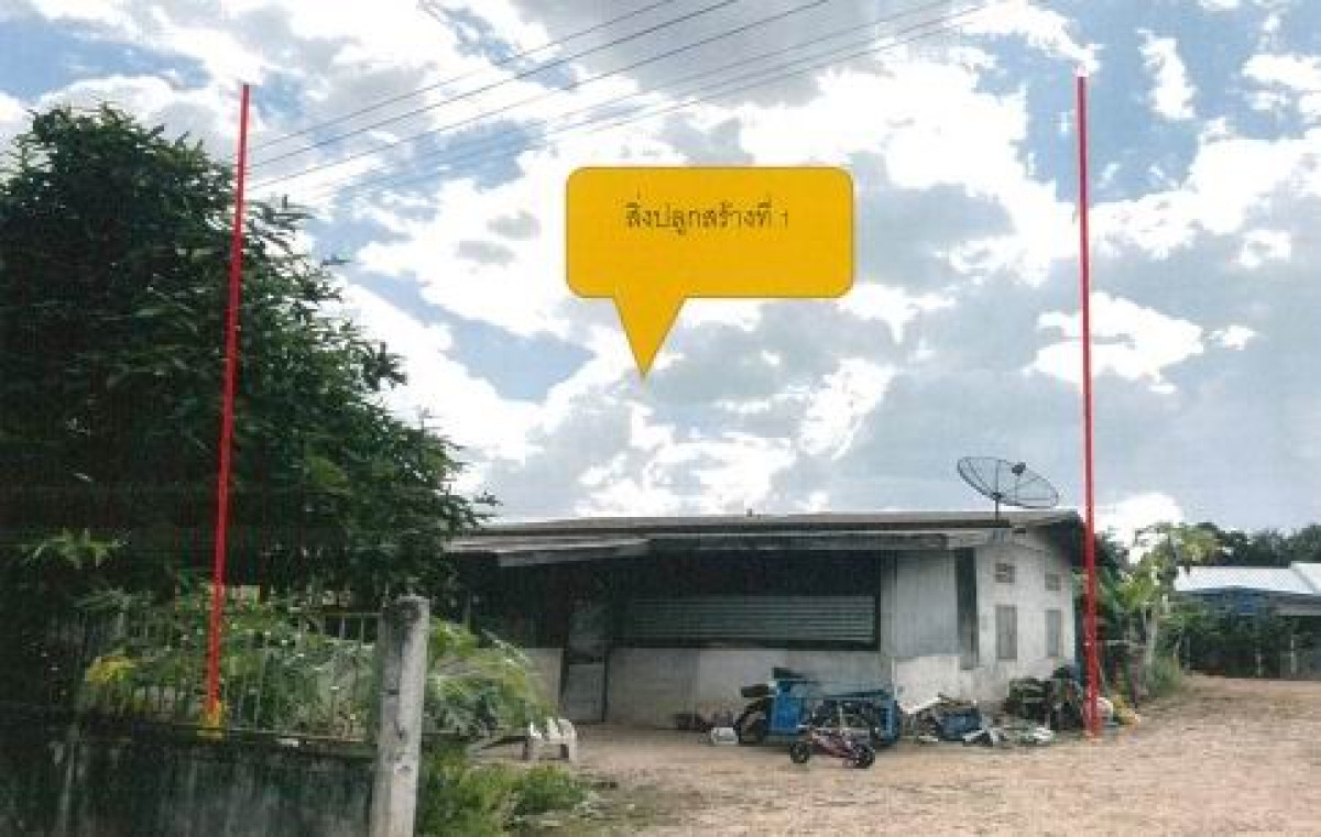 บ้านเดี่ยว นครราชสีมา บัวใหญ่ เสมาใหญ่ 289560
