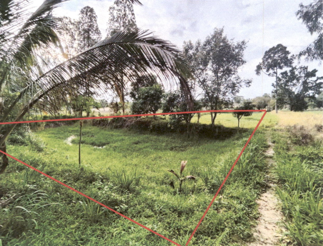 Residential land/lot Kalasin Nong Kung Si Nong Hin 2080000