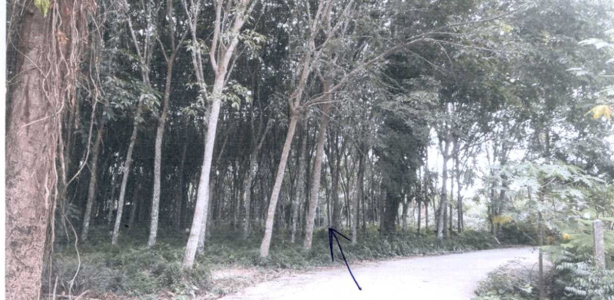 Residential land/lot Nakhon Si Thammarat Thung Song Khao Ro 990000