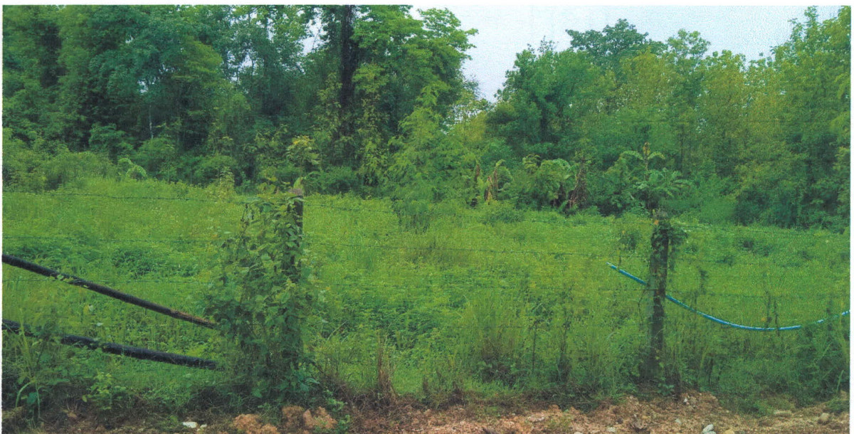 Residential land/lot Lampang Mueang Lampang Phichai 309750