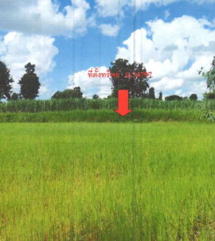 ที่ดินเปล่า ขอนแก่น บ้านไผ่ บ้านลาน 182000