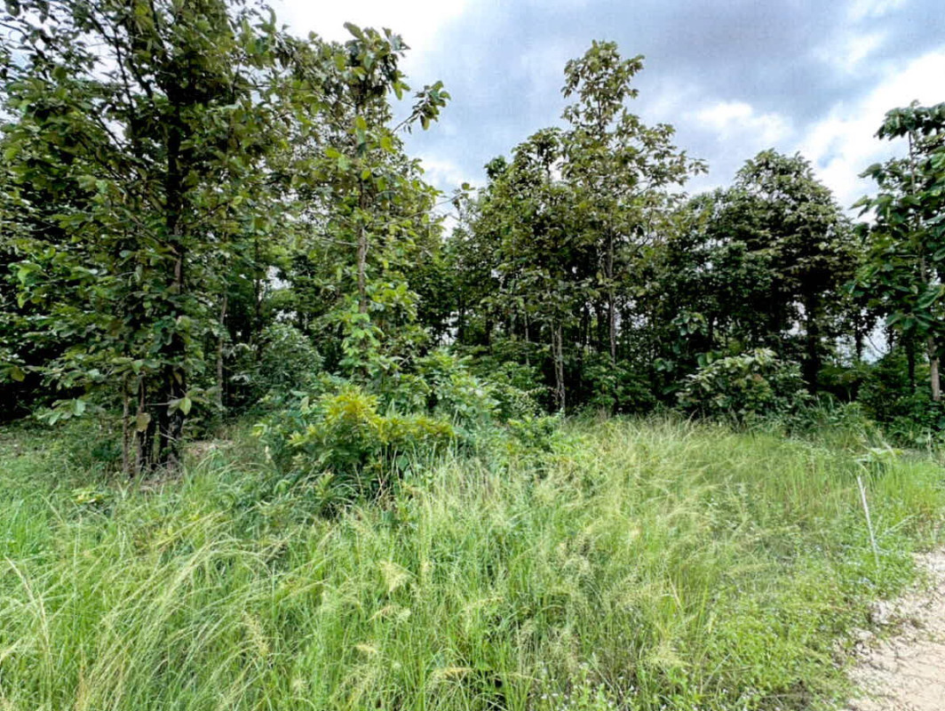 Residential land/lot Lampang Hang Chat Nong Lom 651980