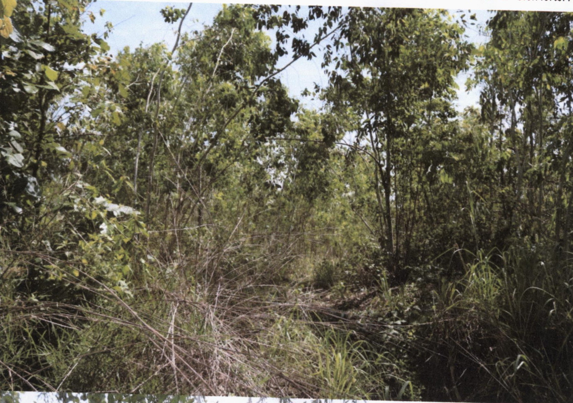 Residential land/lot Sakon Nakhon Sawang Daen Din Sawang Daen Din 400000