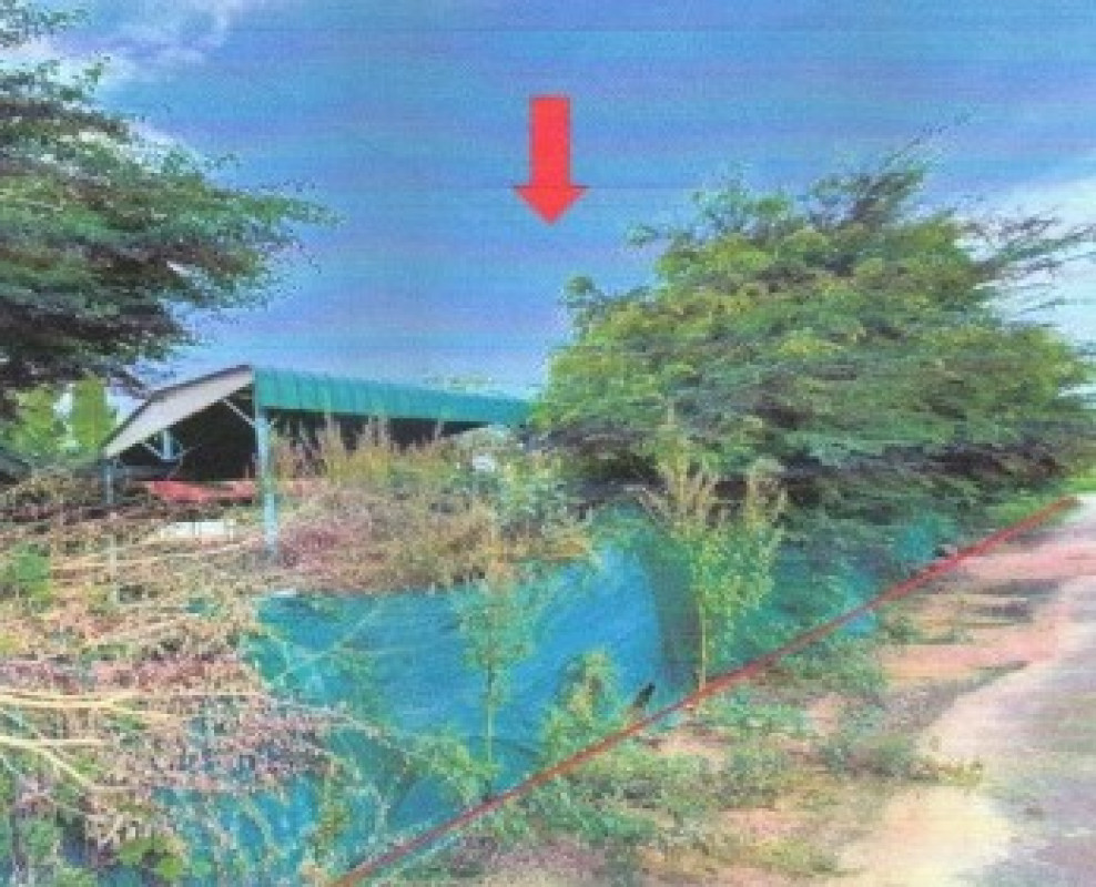 Residential land/lot Kalasin Yang Talat Nong I Thao 75000