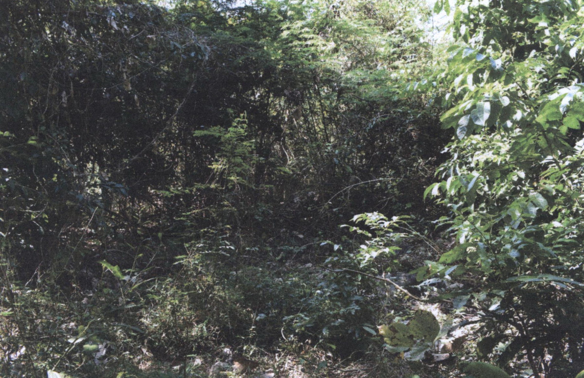 Residential land/lot Lampang Thoen Lom Raet 60900