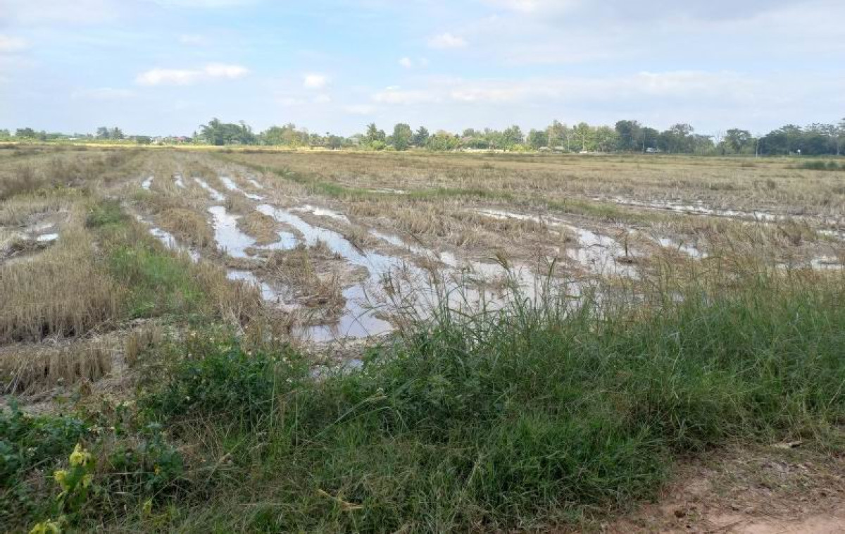 Residential land/lot Phayao Mueang Phayao Ban Mai 126880