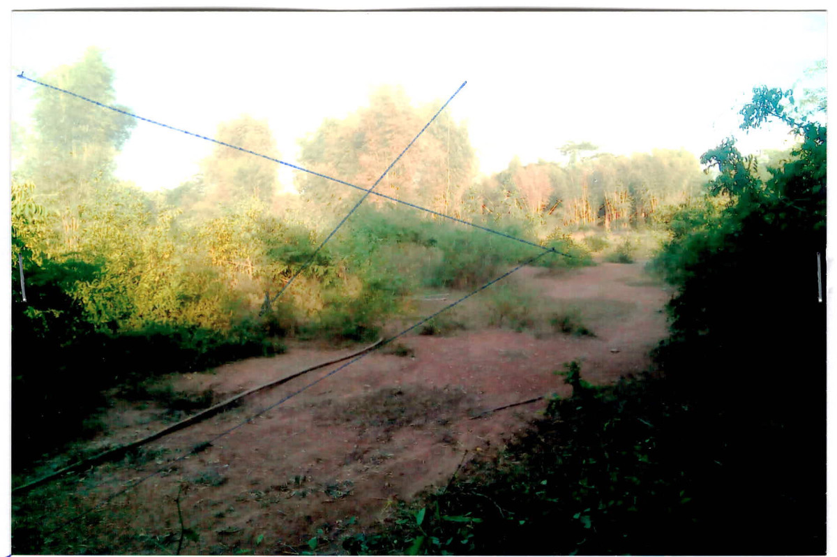 Residential land/lot Lampang Ko Kha Tha Pha 320000