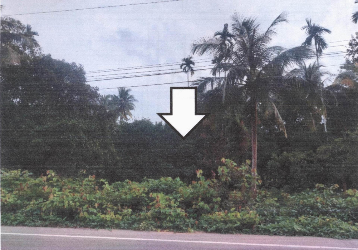 Residential land/lot Chumphon Lang Suan Bang Maphrao 811680