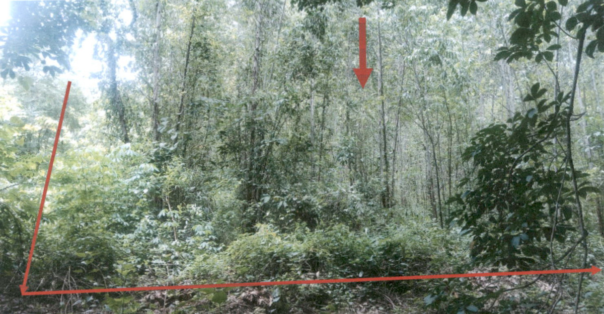 ที่ดินเปล่า กาฬสินธุ์ เมืองกาฬสินธุ์ เหนือ 116800