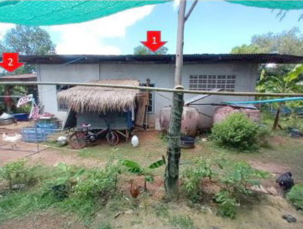 บ้านเดี่ยว นครพนม นาแก นาคู่ 506436